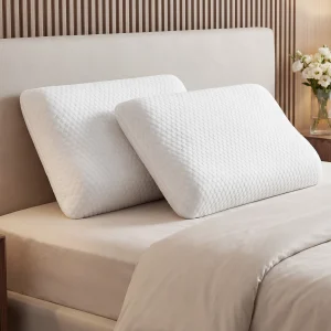 Washable Memory Foam Pillow Pair